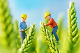 9张微距AI镜像 点亮2025“四川新愿景”图片