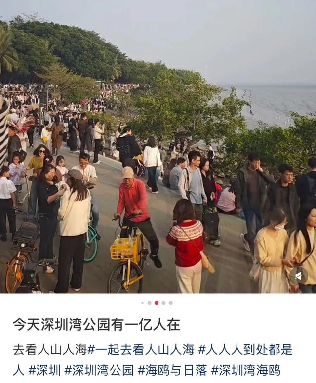 “春运都没这么多人”！深圳知名景区刷屏，网友纷纷“劝退”！