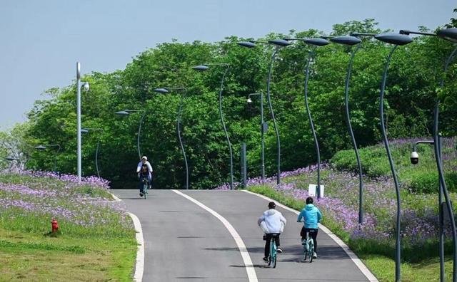 “生”动成都，跟着文学去打卡丨当代人急需的0.5倍速法则，在哪里？
