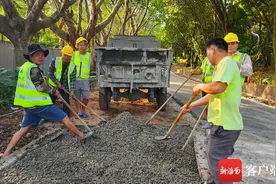 组图 | 海口金牛岭公园升级改造 部分健身步道已经完工图片