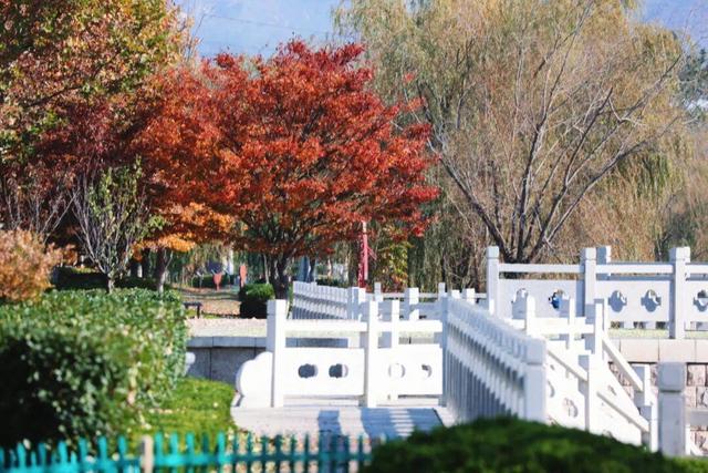 还在找威海初冬小众打卡地？这条河岸藏着惊喜