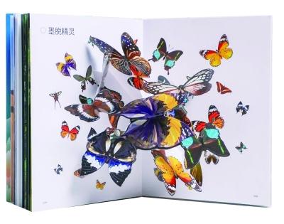 走进地球秘境：感受一日四季 一目十年