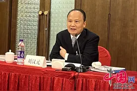 全国人大代表刘汉元：全球能源转型离不开“中国制造”图片