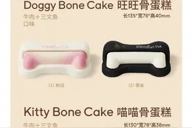 羊奶粉、奶酪入皮，熟鸡肝作料，造型萌化的百元宠物蛋糕你会买单吗？图片