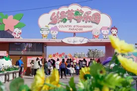 城阳五条特色线路带你玩转春天图片