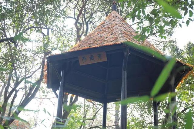 “秃顶”已久的张堰公园亭子，最近…