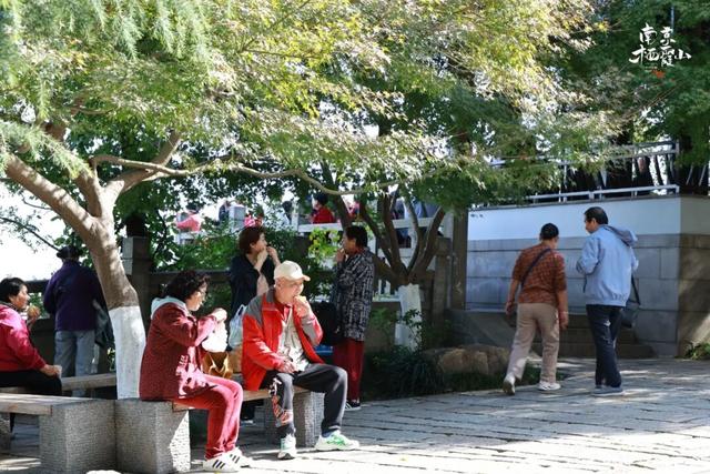 重阳登高栖霞山！玩心不“老”很嗨皮~