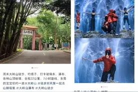 严禁组织旅游团前往未开发区域！东莞大岭山森林公园发布通告图片
