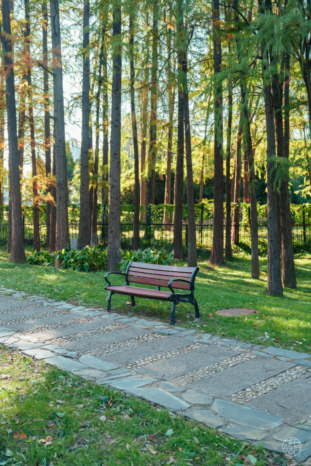 人少景美不绕路，东湖秋日彩蛋上新