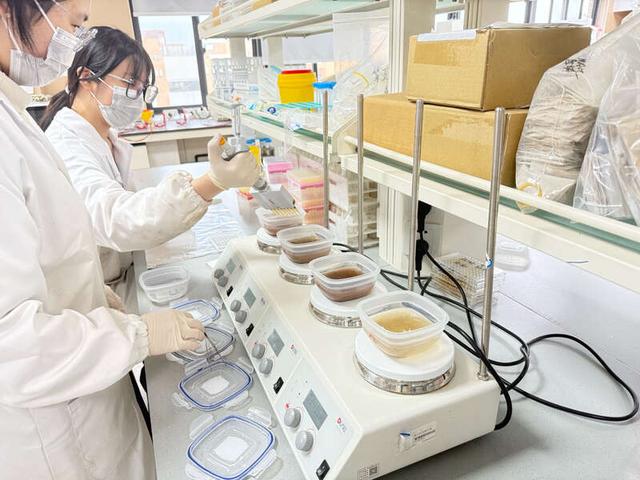 宁波大学师生挖蚯蚓线虫样本 建成浙江首个市级土壤生物数据库