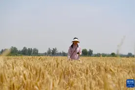 图片故事丨“00后”女机手——向下扎根  在乡村大地逐梦前行图片