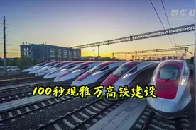 元首外交｜中印尼元首为雅万高铁正式开通运营揭幕图片