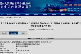 重庆将新建嘉陵江索道 在选设计单位了图片