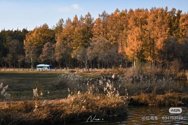 一半秋色在净月潭 另一半在你的镜头里→