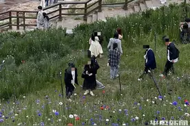 面朝大海，有片花海！燕儿岛公园风景如画，网友呼吁文明观景图片