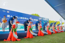 赛龙舟“桨”感情，世界华人相聚青浦，飞桨逐浪共叙友谊图片