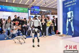 广交会观察：中国机器人大展身手 吸引全球客商图片