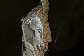 邯郸纪行：博物馆、石窟寺与华丽的蒙昧时代图片