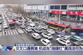 “闯绿灯”也违法？这种情况记2分罚款200元图片