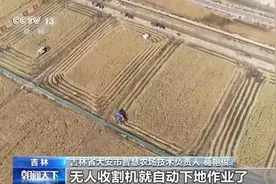 水稻收割无人化、大豆有了增产密码……一起来看丰收里的“大食物观”图片