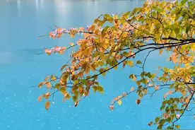 创历史新高！九寨沟2024年接待游客破511万人次图片