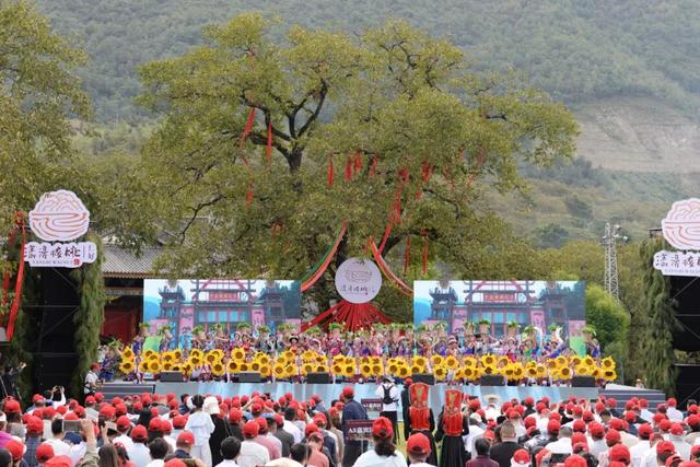 来漾濞的十个理由！每个都很好……