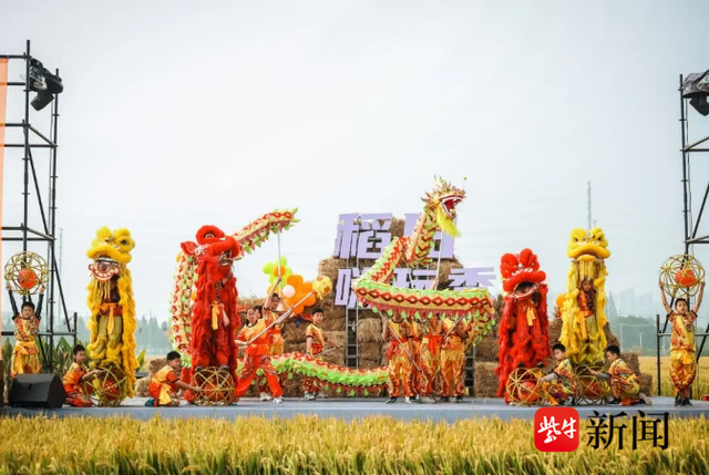 金色稻浪奏响丰收曲，第三届稻田嗨玩季在双凤镇庆丰村稻田理想园激情启幕