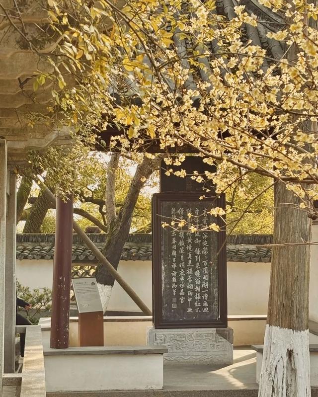 开了！开了！南湖，pong香！