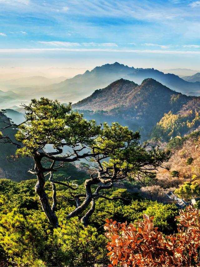 我想离开“浪浪山”，去辽宁看看！