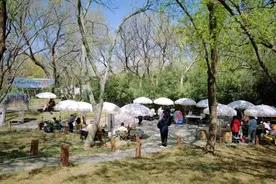 千佛山草坪剧场变身潮玩市集！速来打卡啦图片