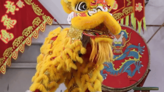 在大湾区，聆听岭南风韵的三地交响