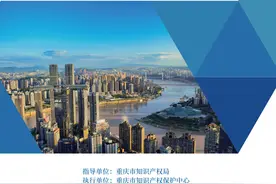聚焦“渝车出海”、卫星互联网等！重庆发布4项专利导航成果图片