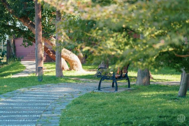 人少景美不绕路，东湖秋日彩蛋上新