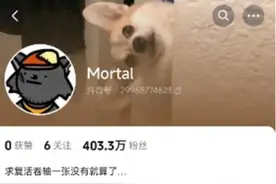 拥有400万粉丝的0作品账号让人泪目，故事也许不是真的，那让善意成为更多人的“复活卷轴”吧图片