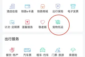 半岛聚焦丨宠物猫狗可坐高铁了！环境如何？花费多少？如何办理？你关心的都在这→图片