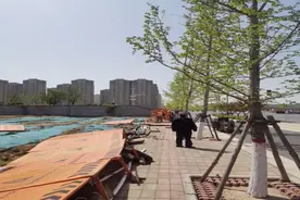 扎实做好大风防范，郑州高新积极开展安全隐患排查图片