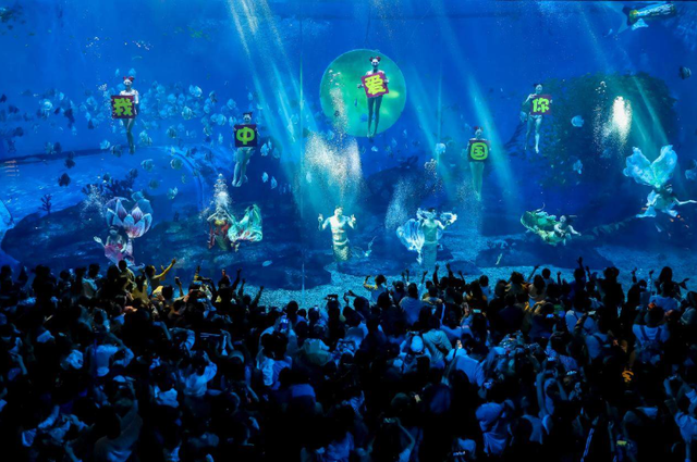 郑州海昌海洋公园二周年温暖庆生 推出双节非遗国潮盛宴