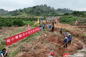 群策群力抓建管 惠民惠农促振兴 溆浦小型农业水利设施建设管护出实招见实效图片