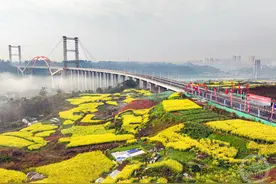 重庆潼南这座大桥今日通车！图片