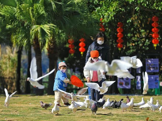 最近，星湖美景亮相广州！你发现了吗？