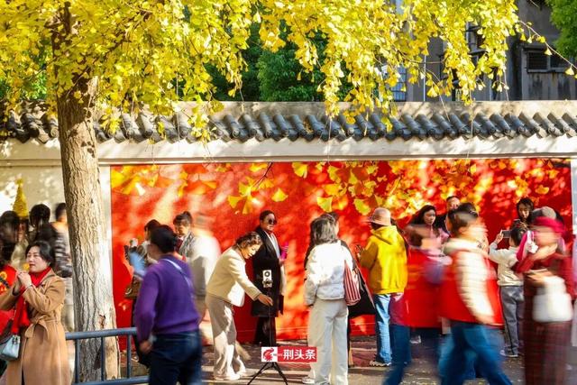 人从众！荆州这条街上“长”满了人……