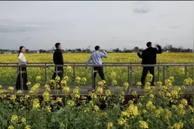 热议｜打动人的不是“尬舞”，而是“代言的样子”图片