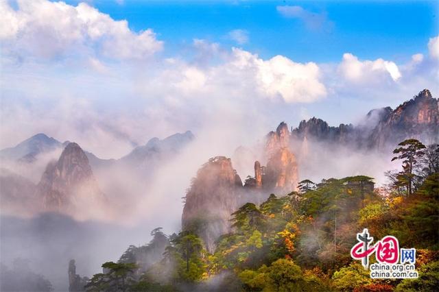 黄山：层林尽染 一幅幅醉美秋色画卷(图)