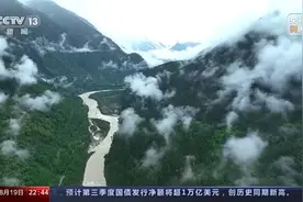 不止于攀登！在攀树课上他带学生感悟生命力图片