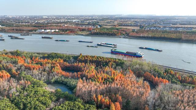 米市渡松南郊野公园秋色美如画