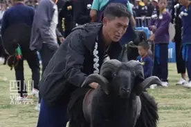 联播观察丨好斗爱美还能赚钱？来彝族“羊村”溜一圈图片