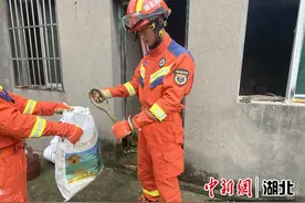 远安居民家中有蛇出没 消防员抓捕后放生图片