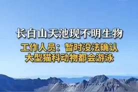 工作人员回应在天池拍到不明生物：大型猫科动物都会游泳 暂时没法确认图片