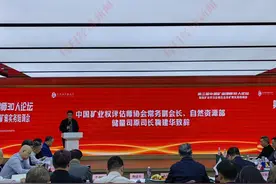 新矿产资源法进入施行倒计时 加强矿产资源和生态环境保护成行业热议焦点图片