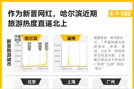 各地文旅这么卷，网络声量能换来游客吗？图片